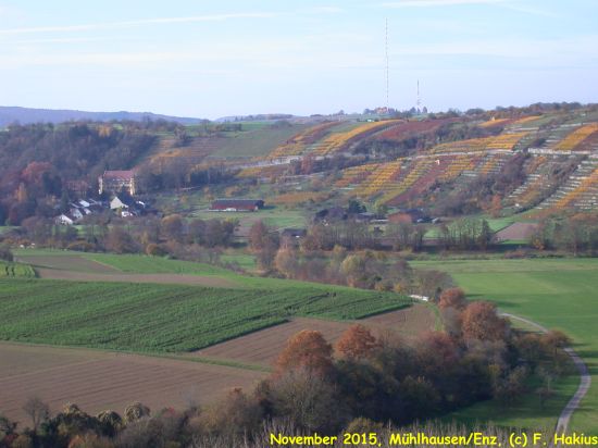 November 2015