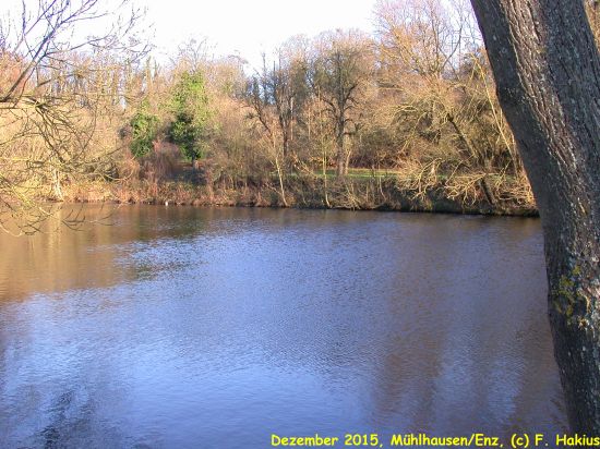 Dezember 2015