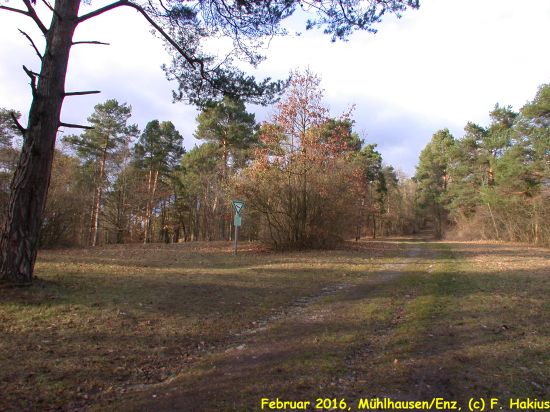 Februar 2016