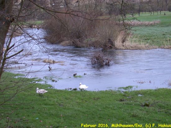 Februar 2016