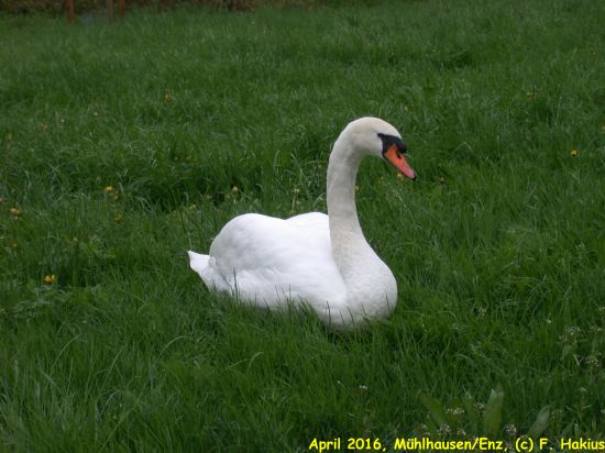 April 2016