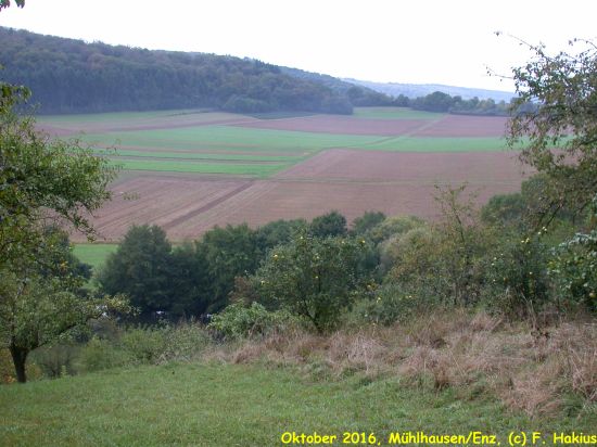 Oktober 2016