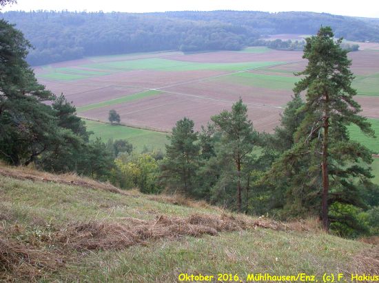 Oktober 2016