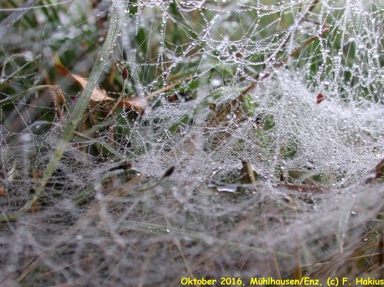 Oktober 2016