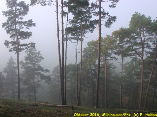 Oktober 2016