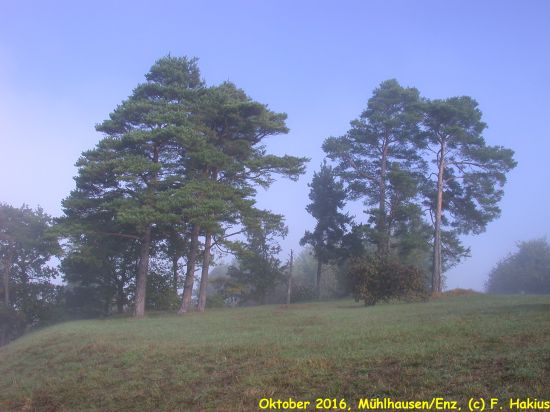 Oktober 2016