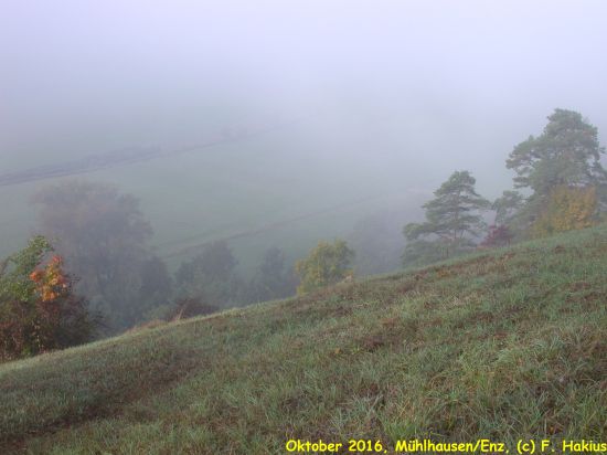 Oktober 2016