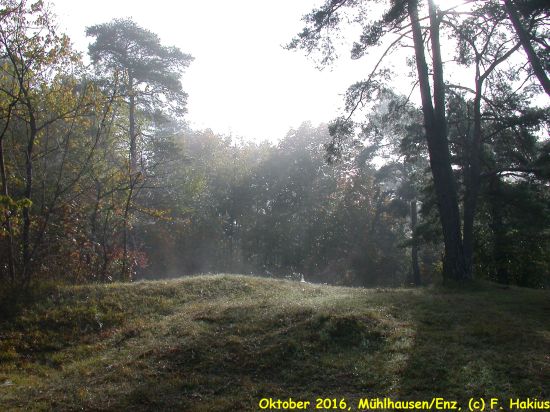 Oktober 2016