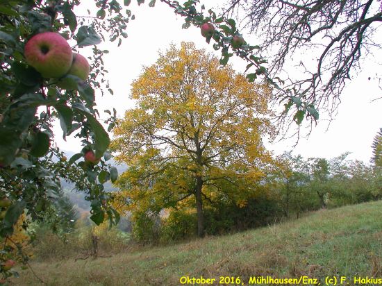 Oktober 2016