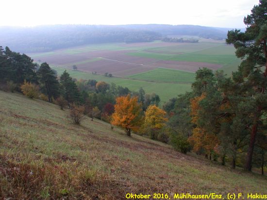 Oktober 2016