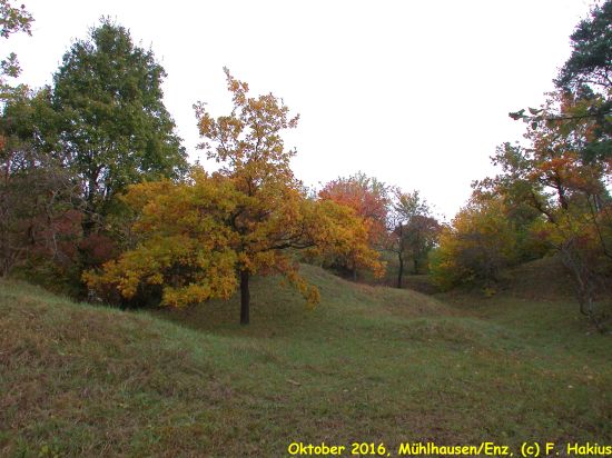 Oktober 2016