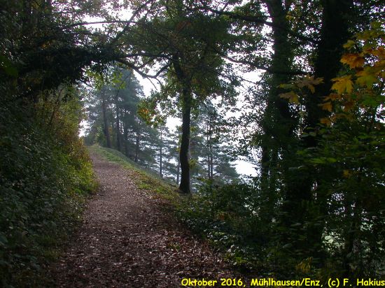 Oktober 2016