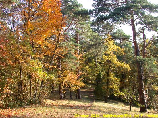 Oktober 2016