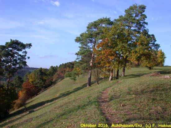 Oktober 2016