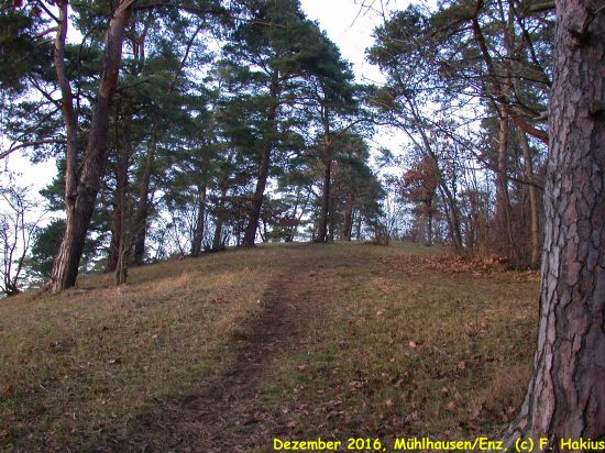 Dezember 2016