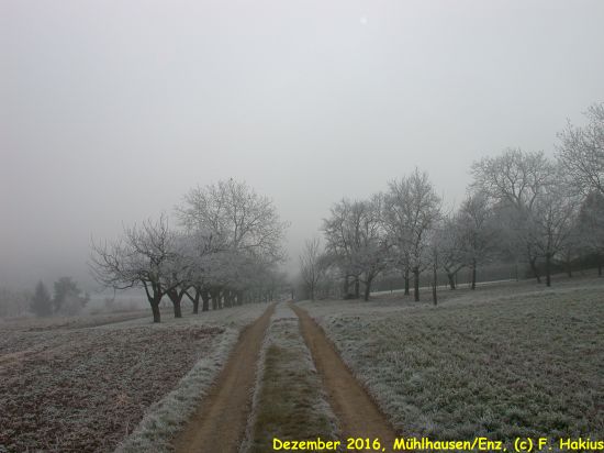 Dezember 2016