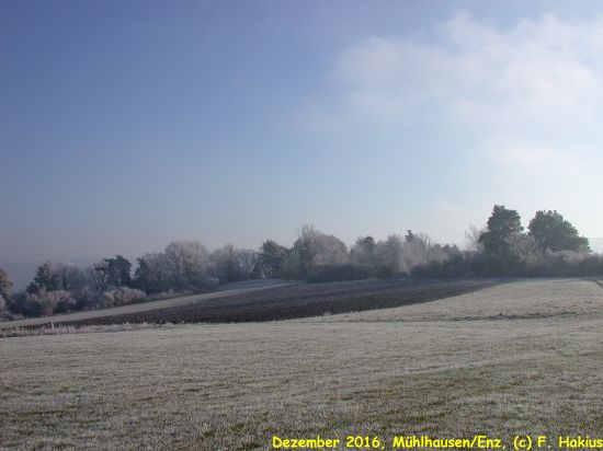 Dezember 2016