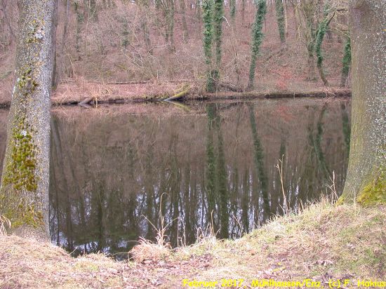 Februar 2017