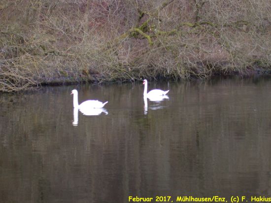 Februar 2017