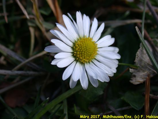 März 2017
