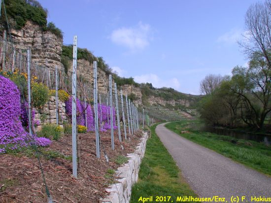 April 2017