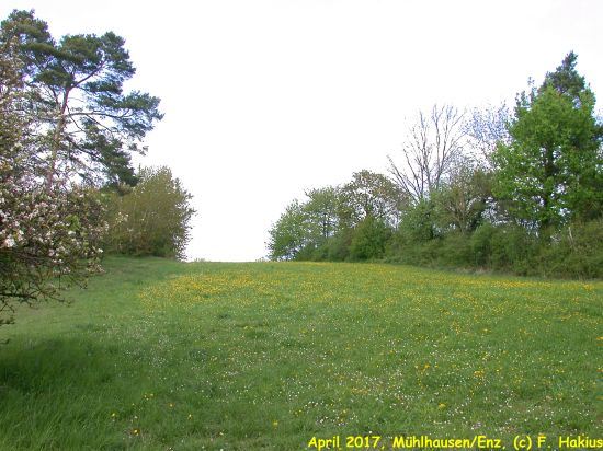 April 2017