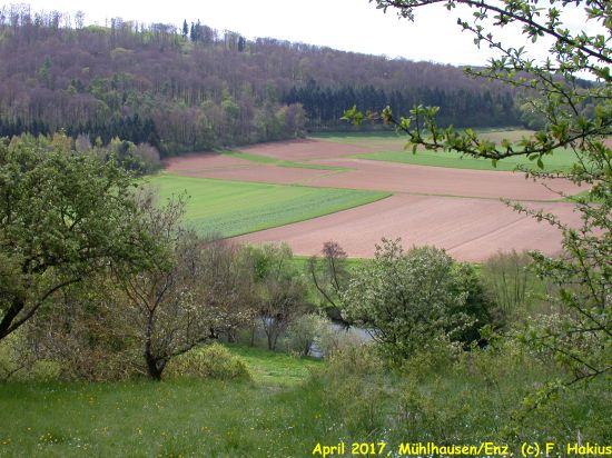 April 2017
