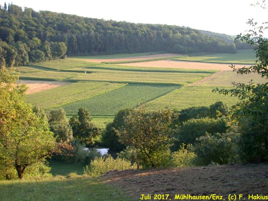 Juli 2017