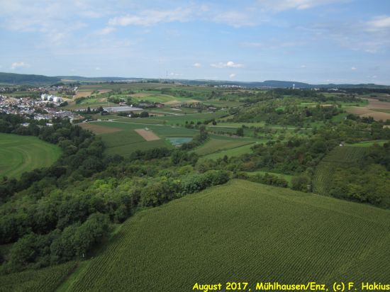 August 2017