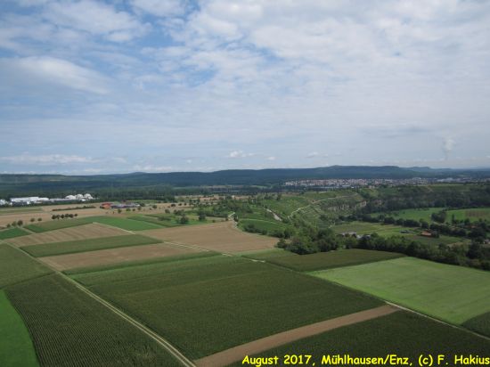 August 2017