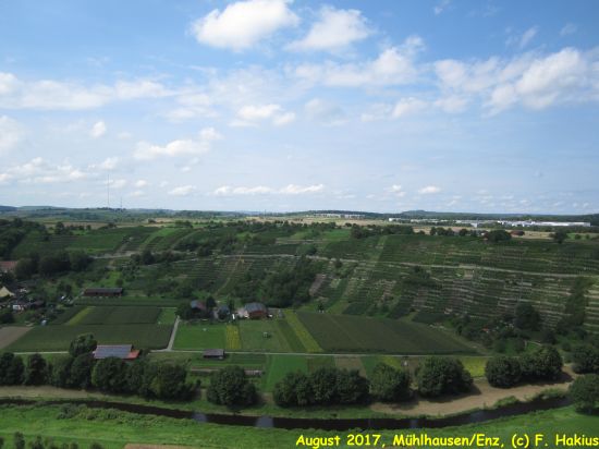 August 2017