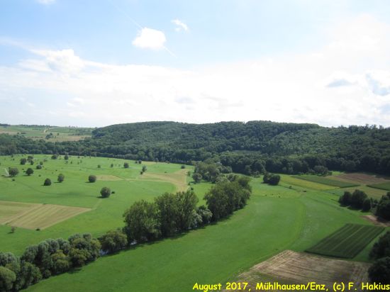 August 2017