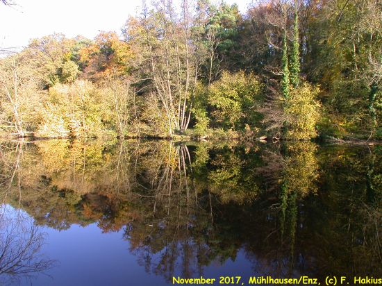 November 2017