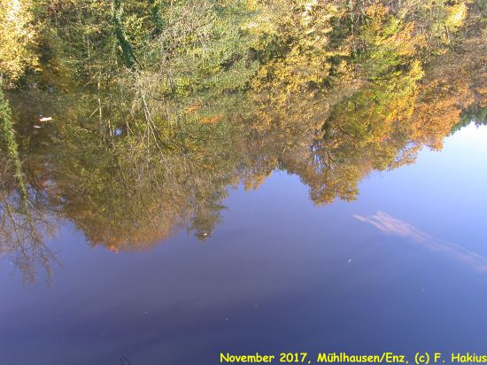 November 2017