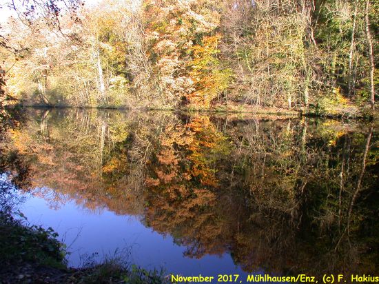 November 2017