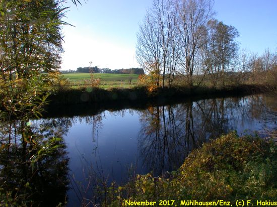November 2017