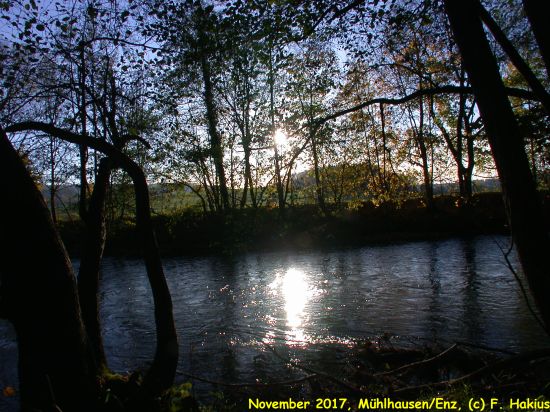 November 2017
