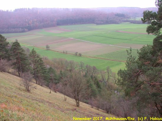 November 2017