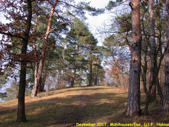 Dezember 2017