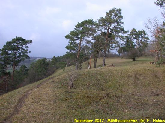 Dezember 2017