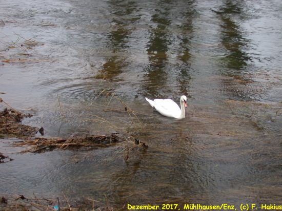 Dezember 2017