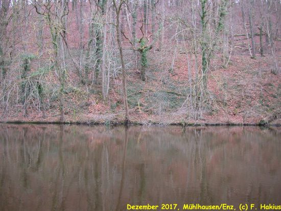 Dezember 2017