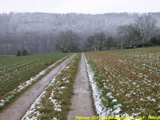 Februar 2018
