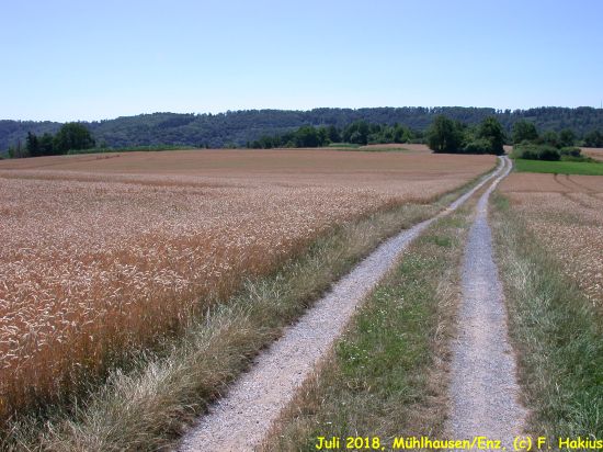 Juli 2018