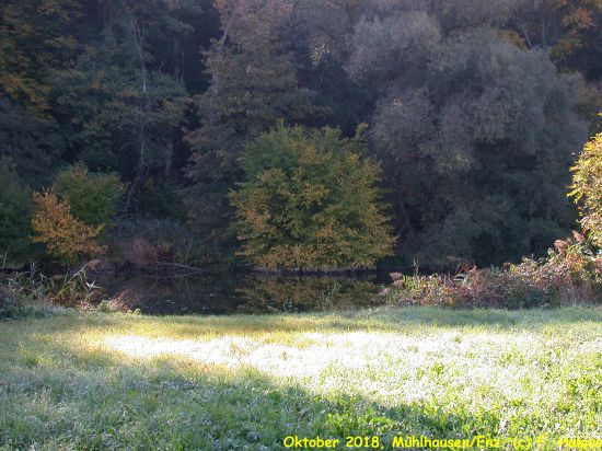 Oktober 2018