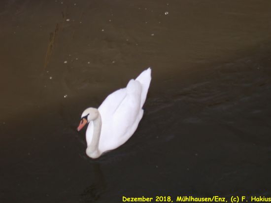 Dezember 2018