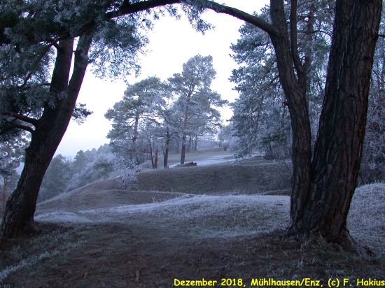 Dezember 2018