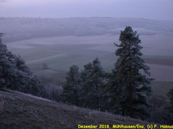 Dezember 2018