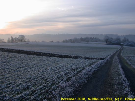 Dezember 2018