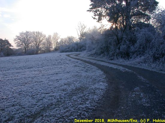 Dezember 2018